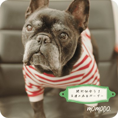 画像3: 【Choice】基本のボーダー長袖Tシャツ　濃赤×白 　●Mサイズまで●