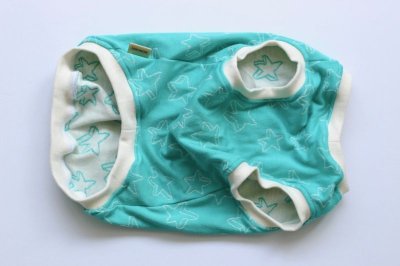 画像1: 【Choice】袖と首元が選べる！スター柄国産接結生地のお洋服　　エメラルド地に白柄