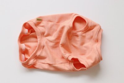 画像1: 【Choice】袖が選べる！洗い晒し感がカッコいいスラブ天竺のお洋服　アプリコット